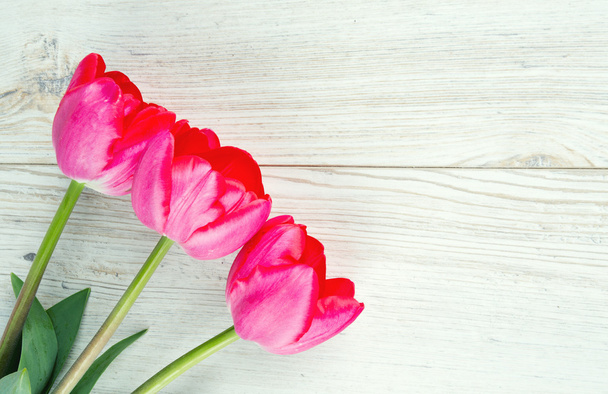 pink tulips on wooden surface - 写真・画像