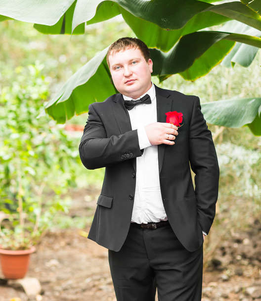 Groom in a suit holding buttonhole - Photo, Image