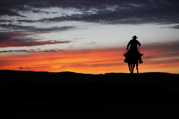 Cowboy sur un cheval
 - Photo, image