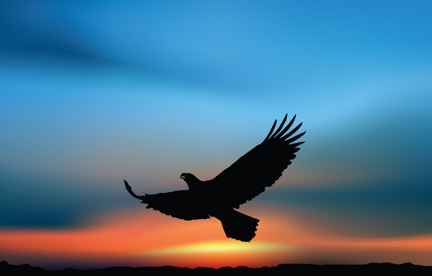 Hawk at the sunrise - Vector, Image