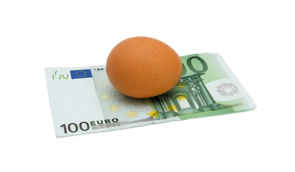 Ruskea muna sadan euron setelissä eristetty
 - Valokuva, kuva