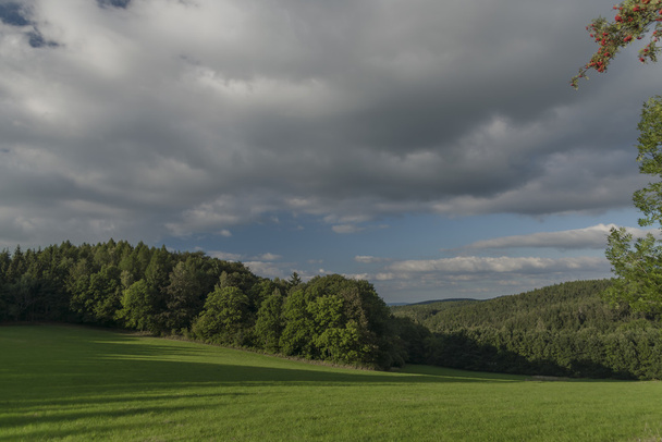 Λιβάδια και δάσος κοντά στο χωριό Oelsen - Φωτογραφία, εικόνα