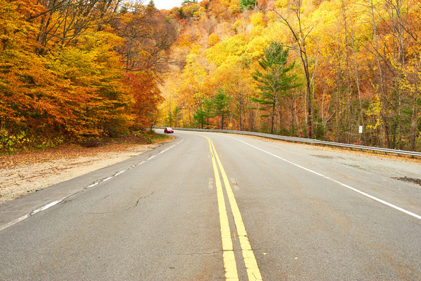 Осенняя сцена с дорогой - Фото, изображение