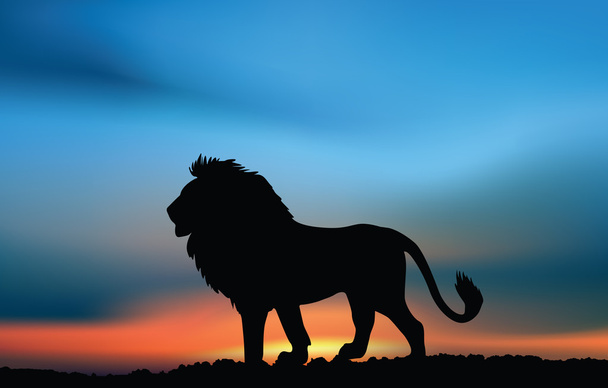 Afrikai oroszlán a naplementekor - Vektor, kép
