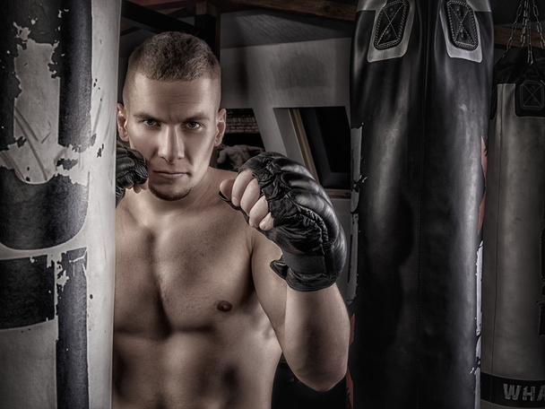 mma fighter in gloves - Photo, Image