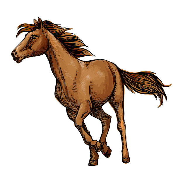 Running Horse sketch met bruin race horse - Vector, afbeelding