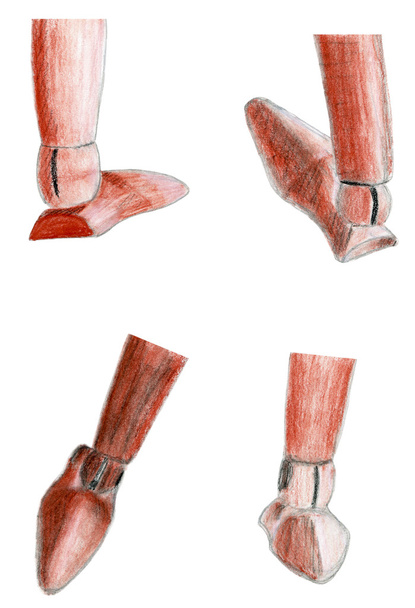 Set dessiné à la main sépia figure en bois illustration de pied
 - Photo, image