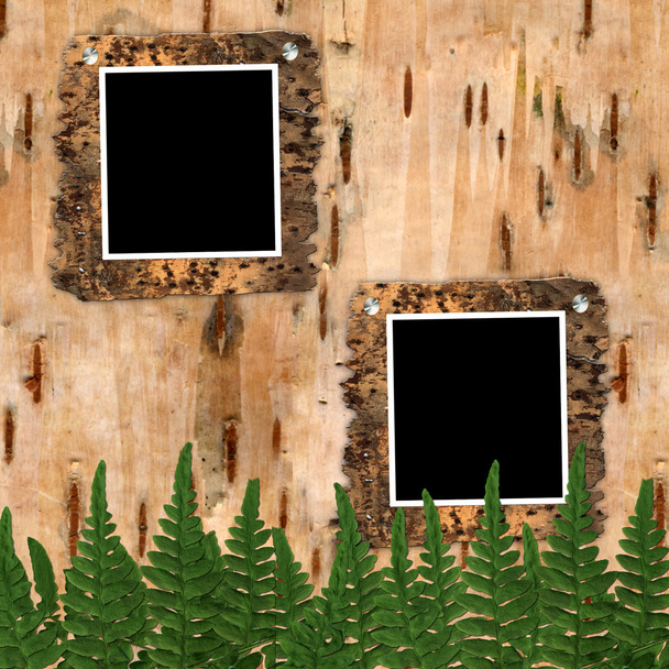 Due telaio a corteccia di betulla con felce
 - Foto, immagini
