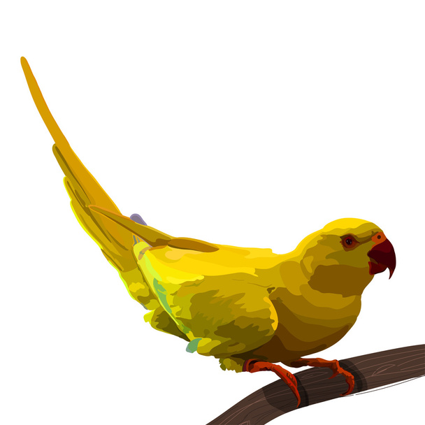 Żółty tropikalny papuga rozłożyć skrzydła i drzewo kolorowy, siedzący wektor realistyczne. - Wektor, obraz
