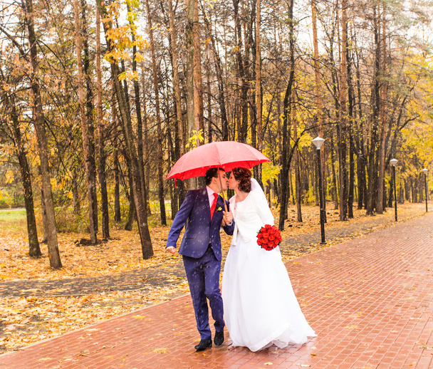 幸せの結婚式で新郎新婦は、赤い傘で歩きます。秋のスタイル コンセプト. - 写真・画像