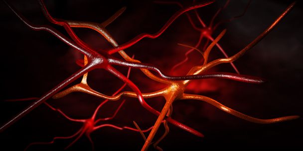 Computer artwork of nerve cells - Photo, Image