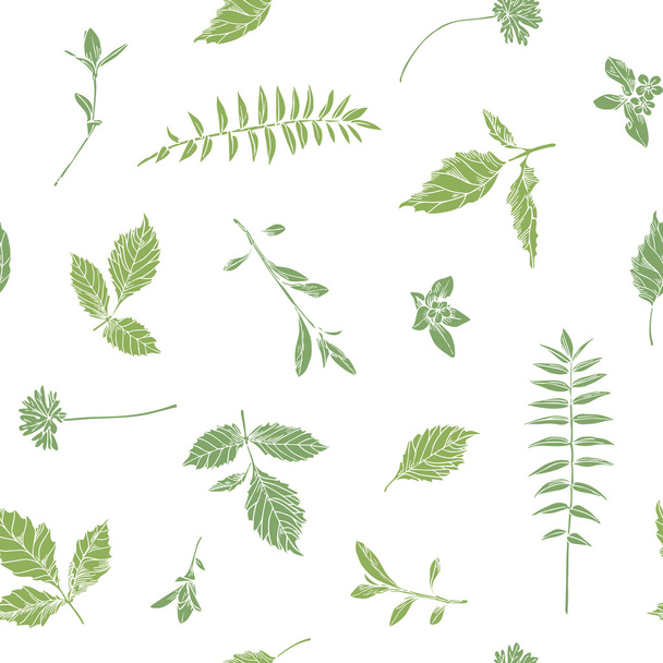 Hand drawn herbs. Seamless floral background. - Vettoriali, immagini