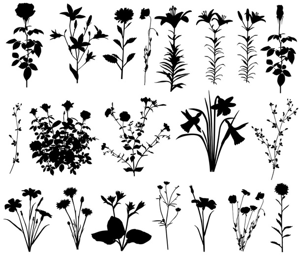 Flower. Collection of silhouettes of different species of flowers - Vector, Image