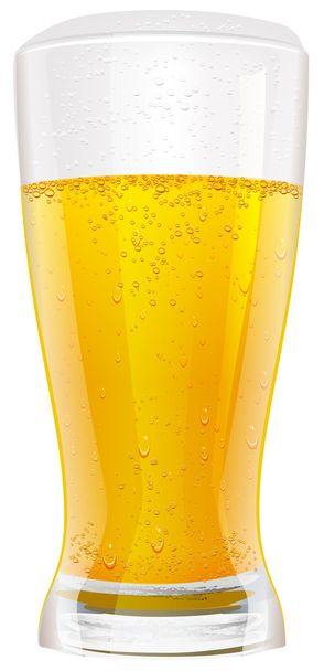Lager beer in glass - Vector, Image