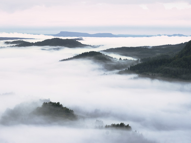 Niebla pesada en el paisaje. Magnífica niebla cremosa de otoño
 - Foto, Imagen