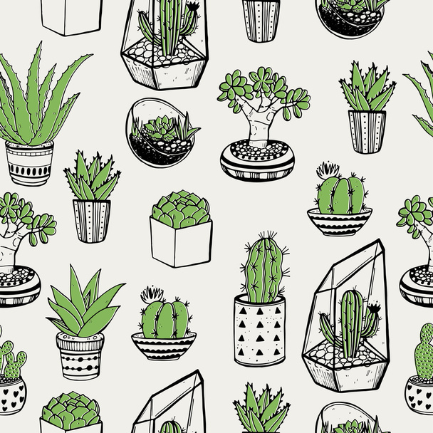  pattern with cacti and succulents - Vektör, Görsel