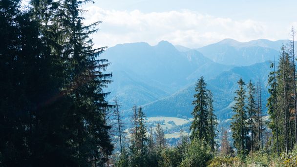 wunderschöne Berglandschaft, Blick auf Zakopane - Foto, Bild