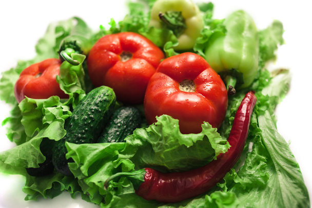  Herbstgemüse. Ernten. Zutaten für den Salat. Salat, Tomaten, Gurken, Zucchini, Auberginen, Paprika, Chilischoten. - Foto, Bild