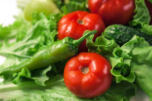  Herfst groenten. Oogsten. Ingrediënten voor de salade. Sla, tomaten, komkommers, courgette, aubergine, paprika, pepers. - Foto, afbeelding