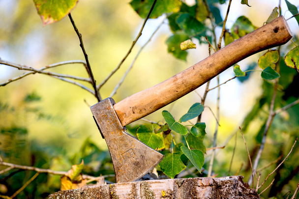 axe on wooden stump - Photo, Image