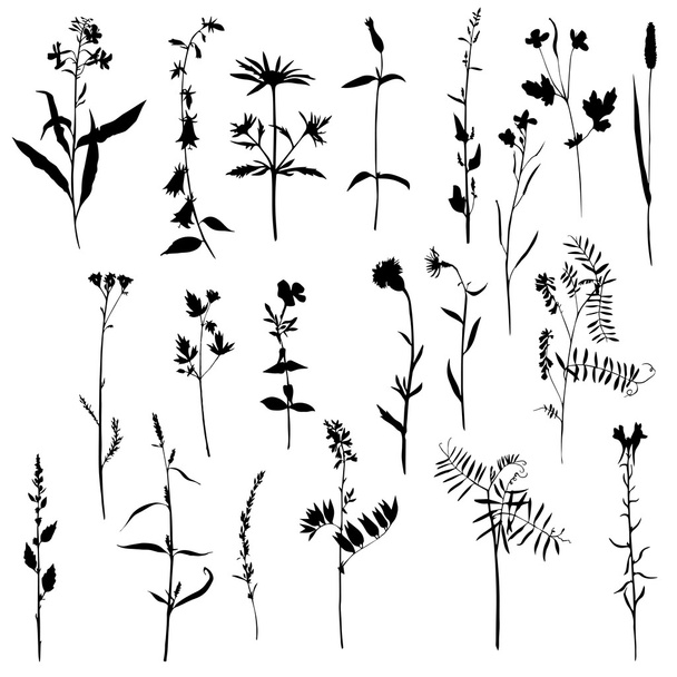 Set of plants silhouettes - Vector, afbeelding