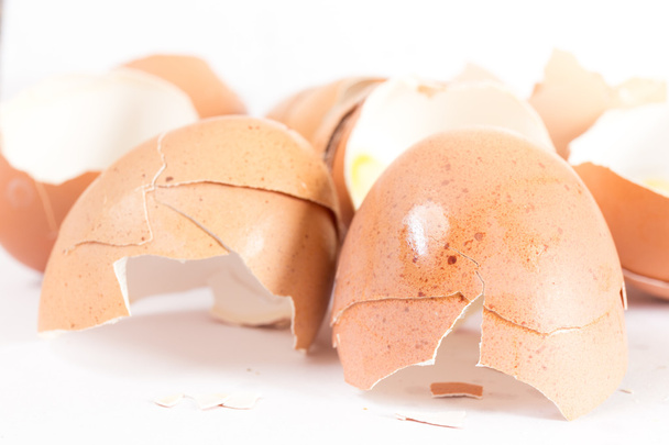 egg shell on white background - Foto, Bild