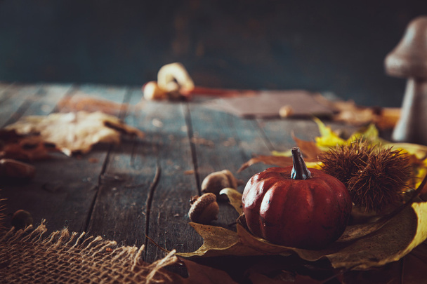 Thanksgiving autumn dinner - Valokuva, kuva
