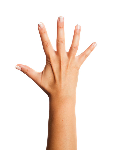 ženská ruka, samostatný - Fotografie, Obrázek