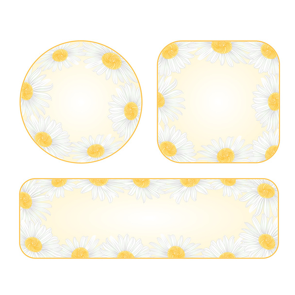 Daisies banners with a flowers vector - Διάνυσμα, εικόνα