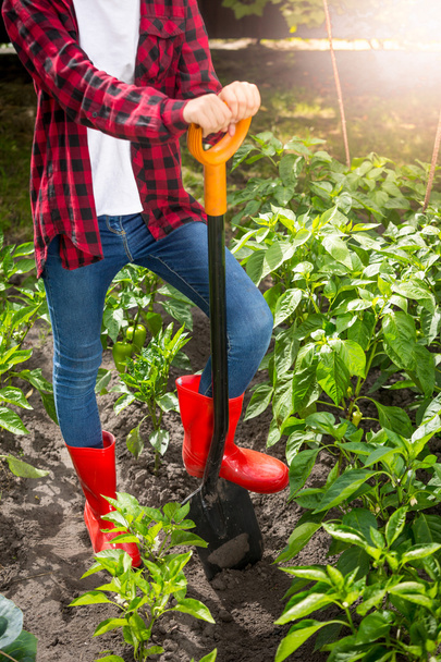 Female farmer posing with shovel on garden bed at sunny day - Photo, Image