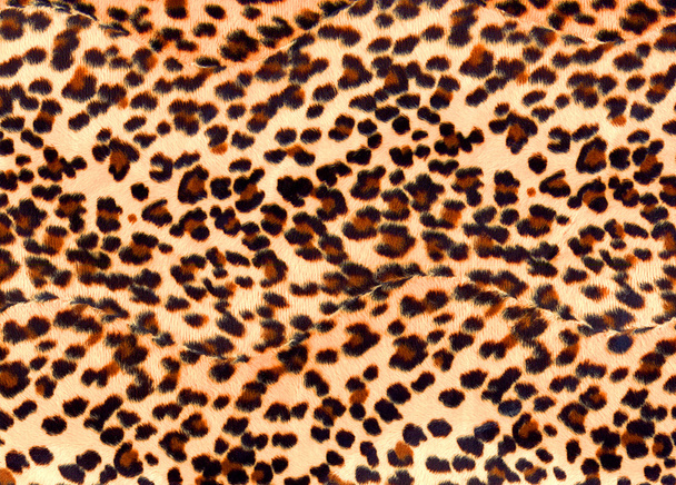 Stampa leopardata
 - Foto, immagini