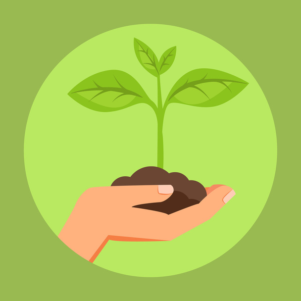 Ilustração da mão humana segurando verde pequena planta. Imagem para folhetos, banners, flayers, artigo e mídia social
. - Vetor, Imagem