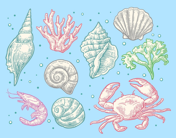 Set sea shell, coral, crab and shrimp. - Вектор,изображение