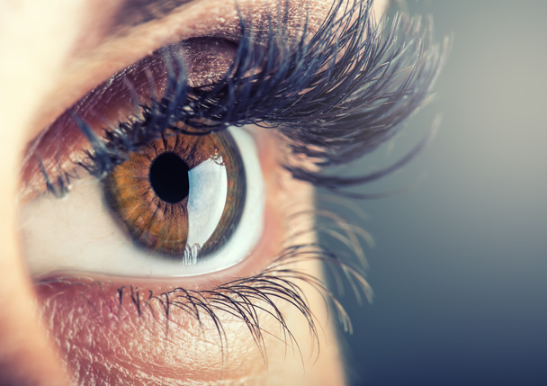 Close-up of woman's eye. Macro beautiful female eye - Fotoğraf, Görsel