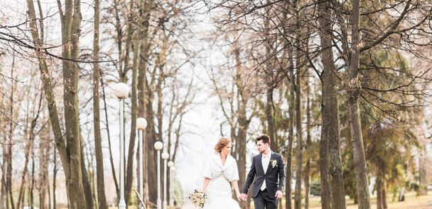 Bride and groom walking in the autumn or winter park - Photo, Image