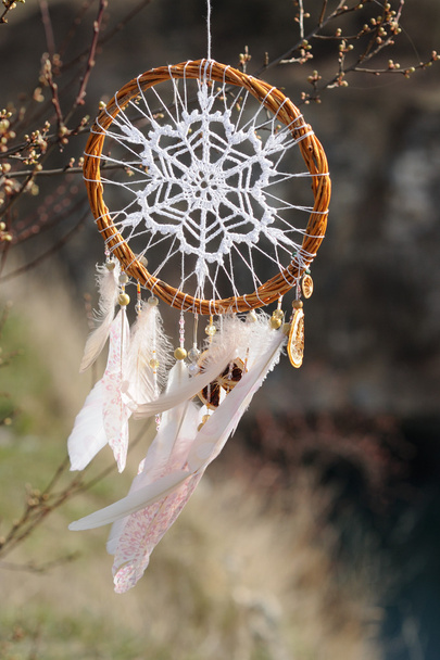 Handmade dream catcher with white doily on background of branche - Photo, Image