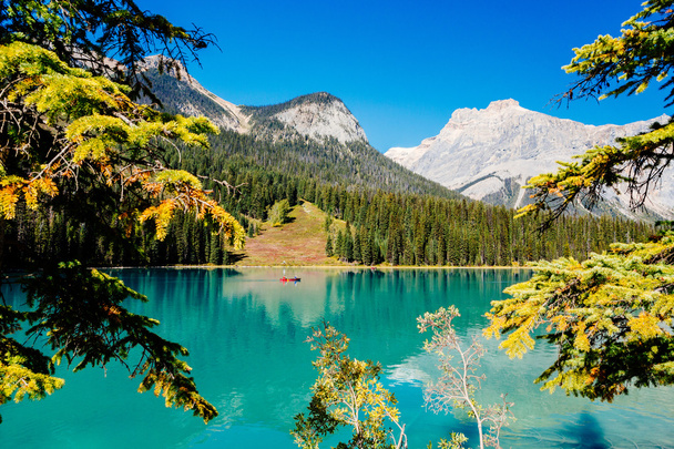 Emerald Lake, Yoho National Park, Brits Columbia, Canada - Foto, afbeelding
