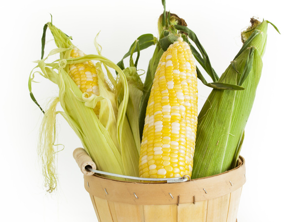 kukuřice - Fotografie, Obrázek