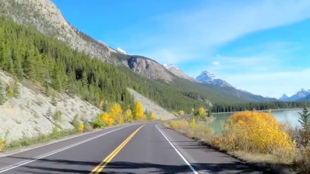  parkway icefields στον Καναδά  - Πλάνα, βίντεο