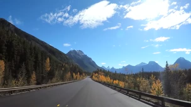  Icefields Parkway en Canadá
  - Metraje, vídeo
