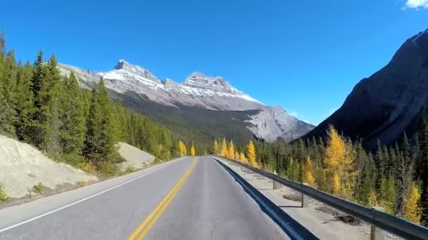  Icefields Parkway in Canada  - Footage, Video