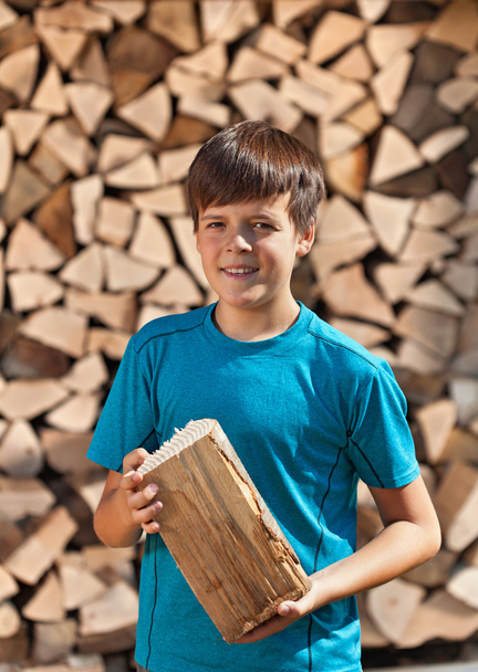 Boy stacking firewood - 写真・画像