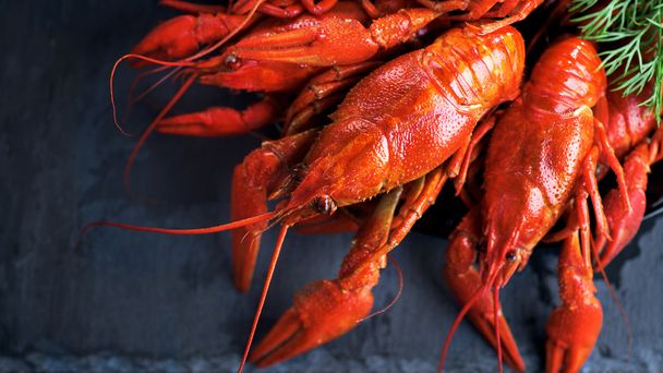 Red boiled crayfish with herbs - Foto, imagen