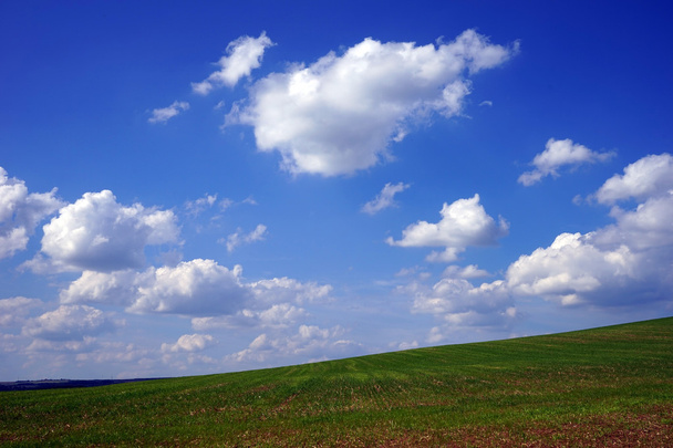 πράσινο γρασίδι και μπλε ουρανός - Φωτογραφία, εικόνα