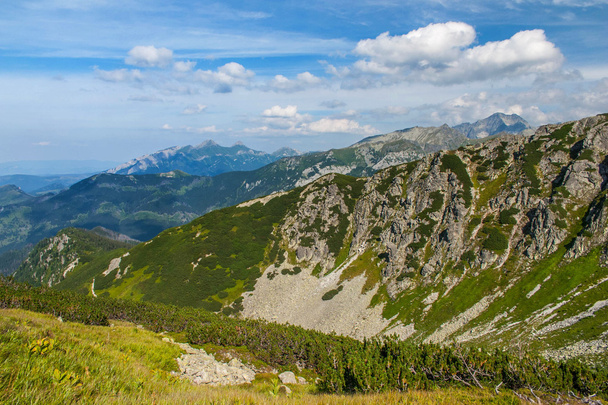 Mountain landscape. High Tatras, Poland. - Zdjęcie, obraz