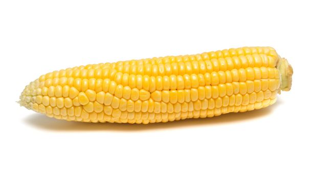 érett sárga kukorica - Fotó, kép
