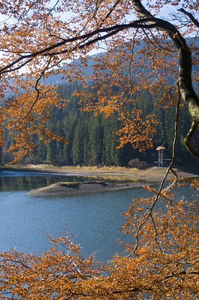 Synevyr Vista do lago através de folhas de laranja
 - Foto, Imagem
