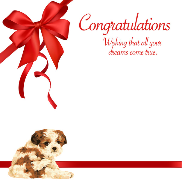 Decoration of dog and ribbon - Photo, Image
