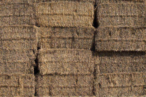 Close up of a straw bale - Photo, Image