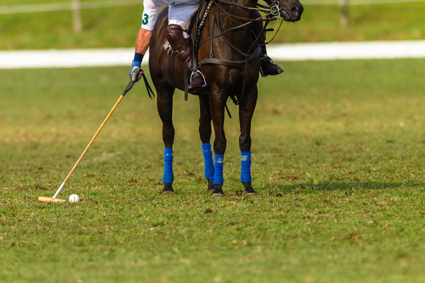 Polo Players Action - Photo, Image